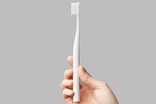 Imagen de pruebas de toothbrush biodegradable