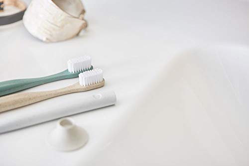 Poniendo a prueba toothbrush biodegradable