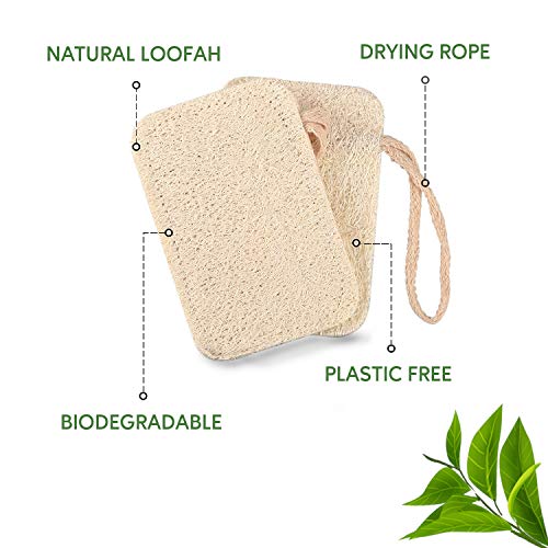 Probando el estropajo biodegradable más barato