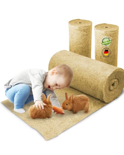 Destacada de la comparativa de alfombras orgánicas