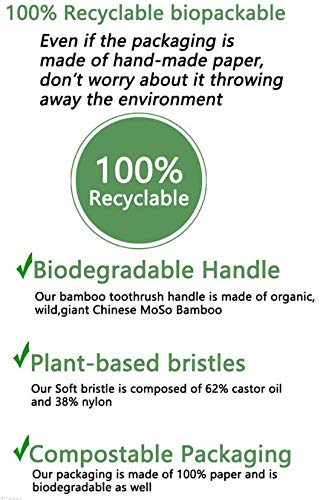 Probando toothbrush biodegradable