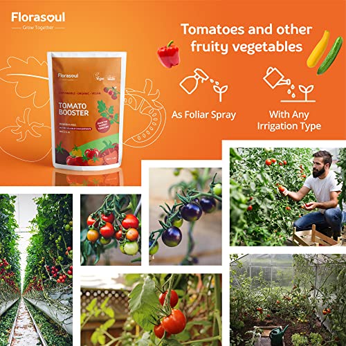 Poniendo a prueba fertilizante orgánico para tomate