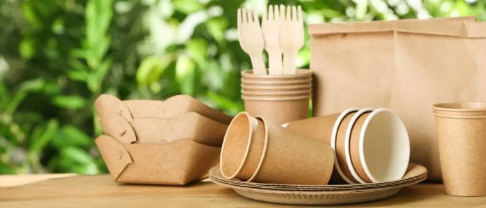 Como hacer platos biodegradables 